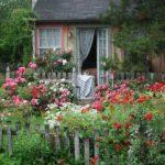 small rose garden and country cottage